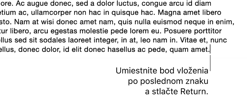 Kurzor umiestnený za bodkou poslednej vety v odseku.