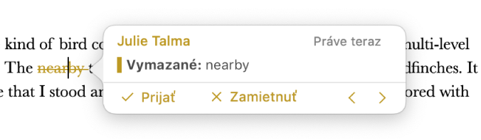 Vymazaný text s otvoreným komentárom a položky Prijať, Zamietnuť a navigačné šípky. Sledovaná zmena uvádza meno autora a dátum.