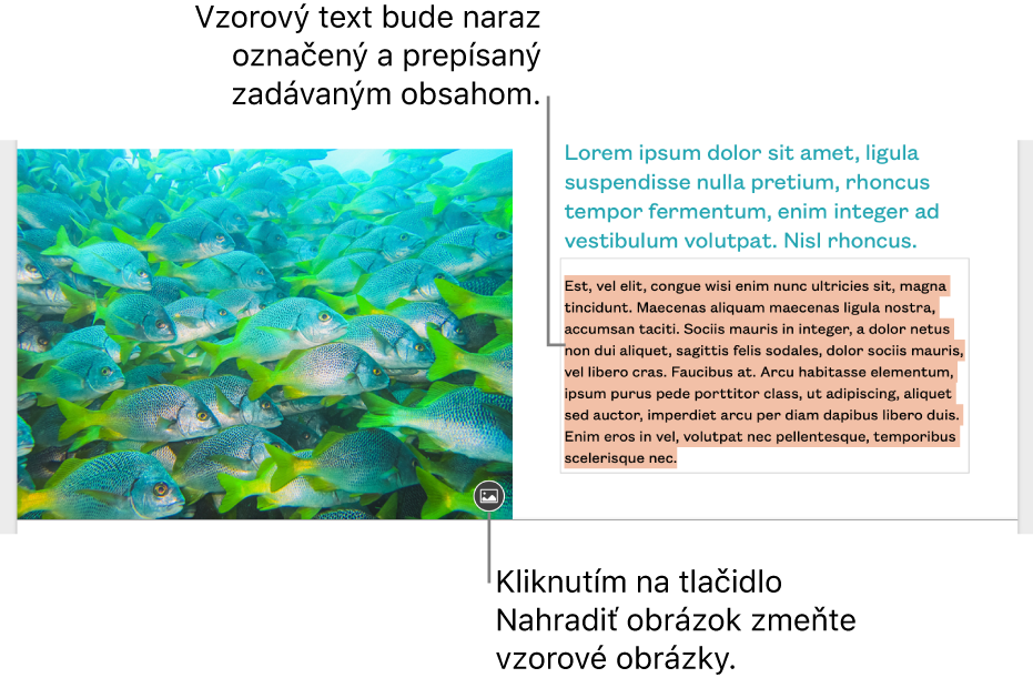 Vzorový text a obrázky.