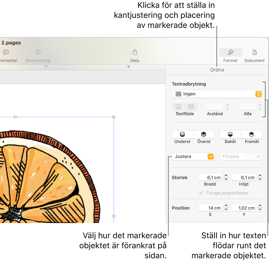 Formatmenyn med sidofältet Ordna synligt. Inställningarna för objektplacering är högst upp i sidofältet Ordna med inställningarna för textbrytning nedanför.