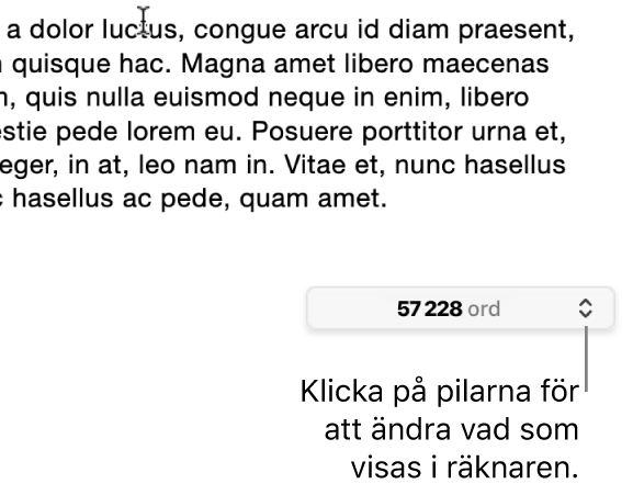 Ordantalsmeny som visar antalet ord i dokumentet.