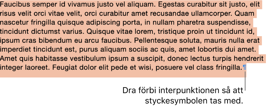 Ett stycke är markerat och styckesymbolen är inkluderad i markeringen.