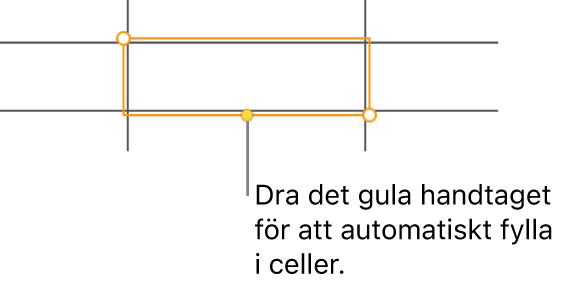 En markerad cell med ett gult handtag du kan dra för att autofylla celler.