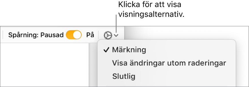 Menyn med granskningsalternativ som visar Märkning, Visa ändringar utom raderingar och Slutgiltigt.
