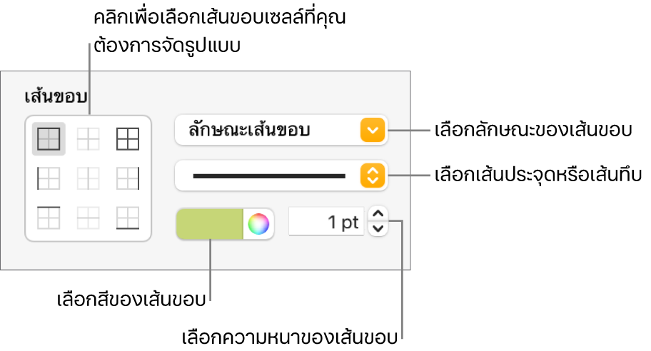 ตัวควบคุมการจัดลักษณะของเซลล์