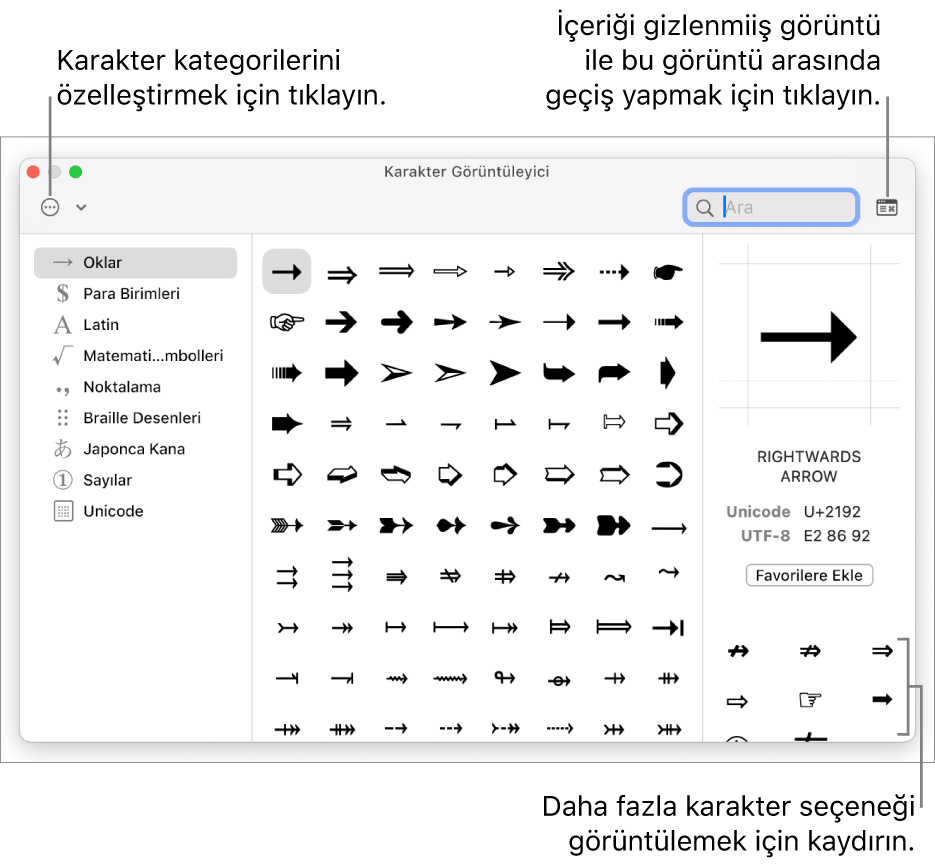 İçeriği gösterilen Karakter Görüntüleyici özel karakterleri ve sembolleri, sol tarafta farklı sembol kategorileri için bir menü, sağ üst köşede ise içeriği gizlenmiş görüntüye dönmenize olanak tanıyan bir düğme gösteriyor.