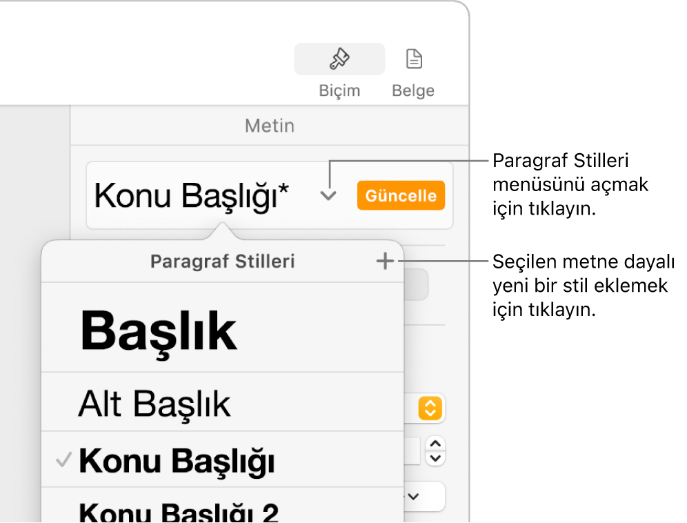 Stil ekleme veya değiştirme denetimlerini gösteren Paragraf Stilleri menüsü.