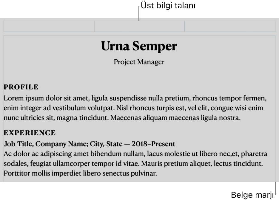 Üst bilgi alanını ve belge marjlarını gösteren yerleşim görüntüsü.
