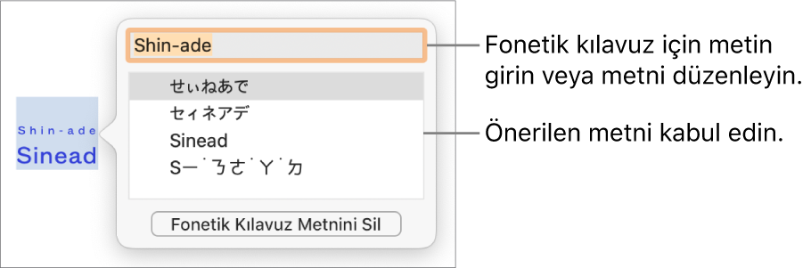 Bir sözcük için fonetik kılavuz, metin alanına ve önerilen metne ilişkin gösterimlere açılır.