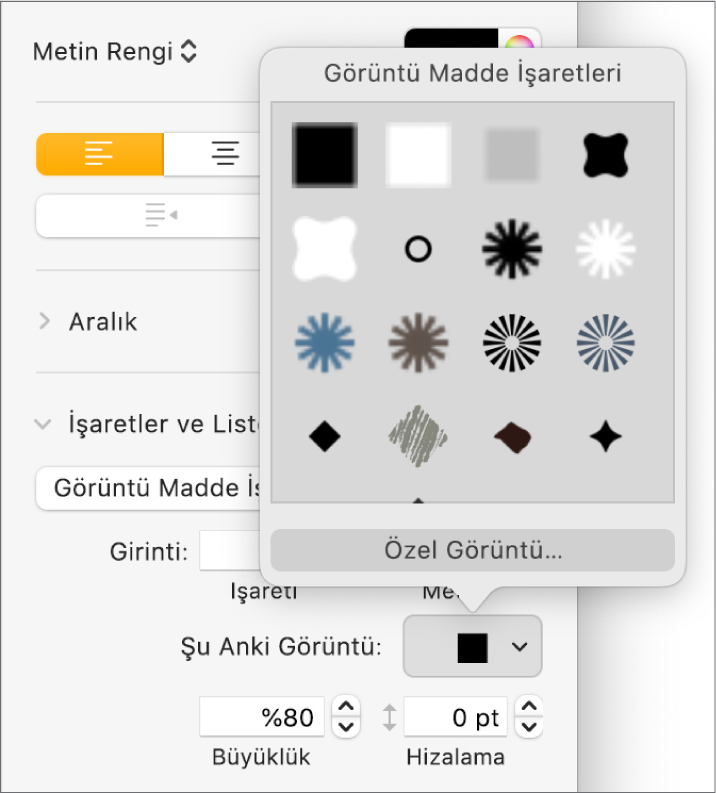 Görüntü Madde İşaretleri açılır menüsü.