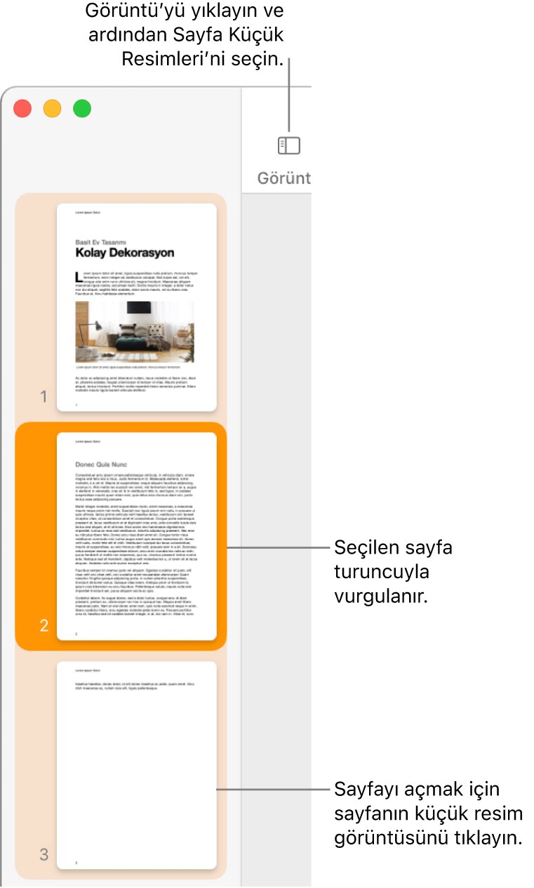 Sayfa Küçük Resimleri görüntüsü açık ve seçili sayfa koyu turuncu ile vurgulanmış Pages penceresinin sol tarafındaki kenar çubuğu.
