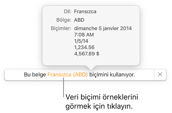 O dil ve bölgede kullanılan biçimlendirme örneklerini gösteren, farklı dil ve bölge ayarı bildirimi.