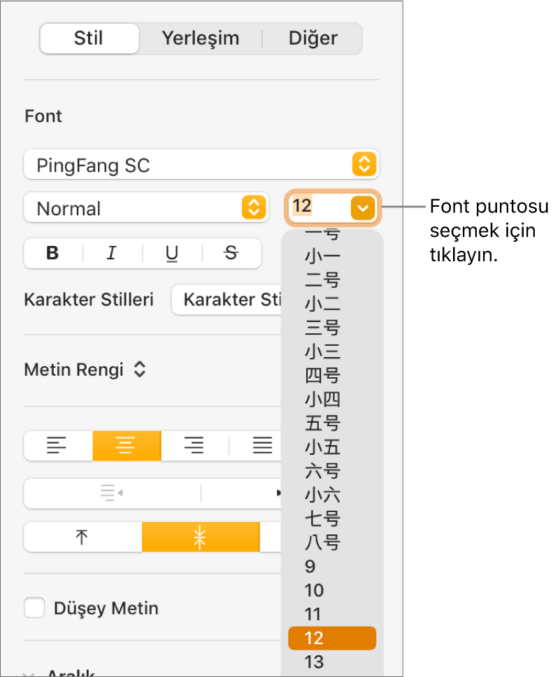 Font puntosu menüsü açık olarak Biçim kenar çubuğunun Stil bölümü. Çin ana karası hükümeti standardındaki font puntoları menünün en üst kısmında, diğer puntolar ise bunun altında görünür.
