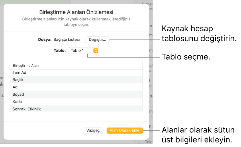 Kaynak dosyayı veya tabloyu değiştirme, birleştirme alanı adlarını önizleme ya da sütun üst bilgilerini alan olarak ekleme seçenekleri ile Birleştirme Alanlarını Önizlemesini Göster bölümü açık.