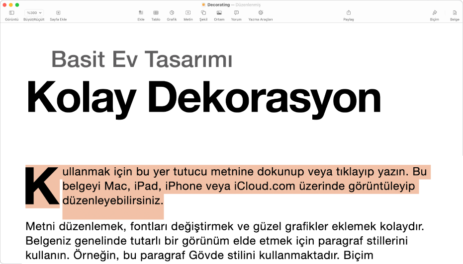 Açık bir belgede şablon yer tutucu metni seçili.