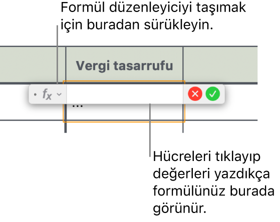 Formül Düzenleyici.