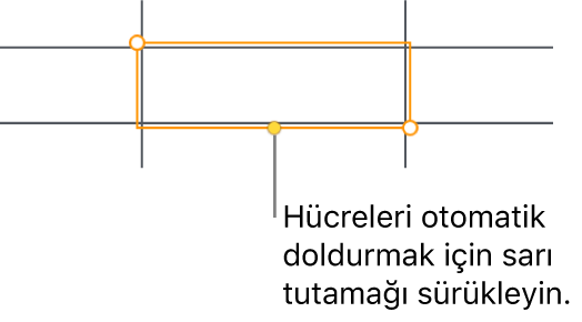 Hücreleri otomatik doldurmak için sürükleyebileceğiniz bir sarı tutamağı olan seçili hücre.