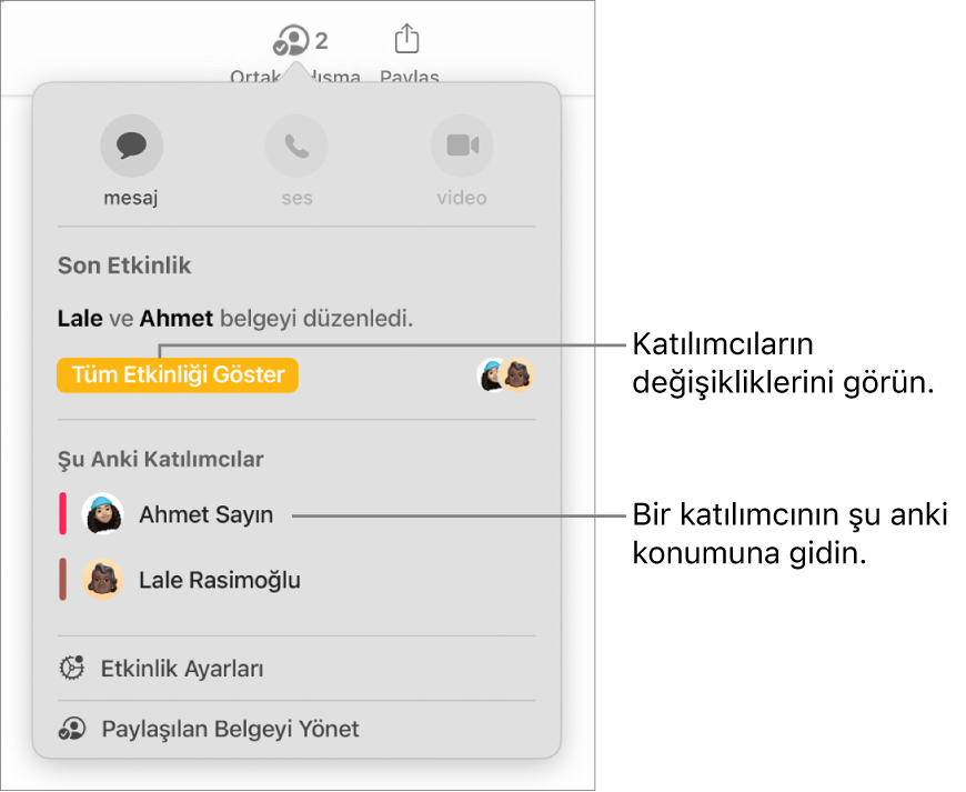 Ortak çalışma menüsünde iki güncel katılımcı listeleniyor.