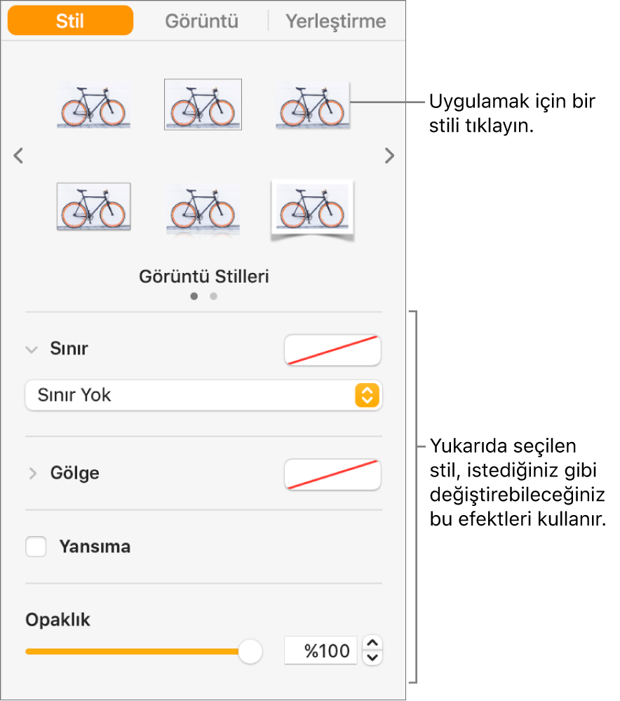 Nesne stili seçeneklerini gösteren Biçim kenar çubuğunun Stil sekmesi.