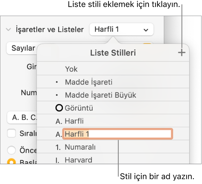Sağ üst köşede Ekle düğmesi olan Liste Stilleri açılır menüsü ve metni seçili olan yer tutucu stili adı.
