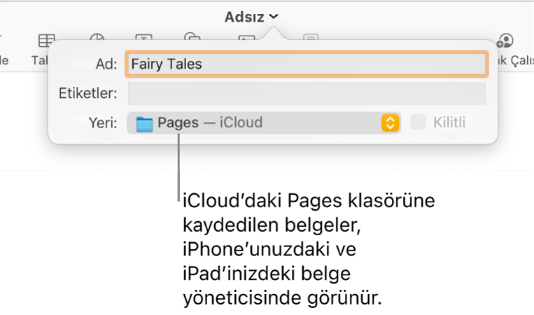 Yer açılır menüsünde Pages—iCloud olan bir belge için Kaydet sorgu kutusu.