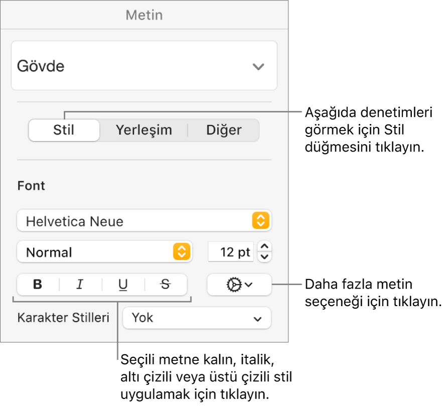 Biçim kenar çubuğundaki Kalın, İtalik, Altı Çizili ve Üstü Çizili düğme belirtimlerini içeren Stil denetimleri.