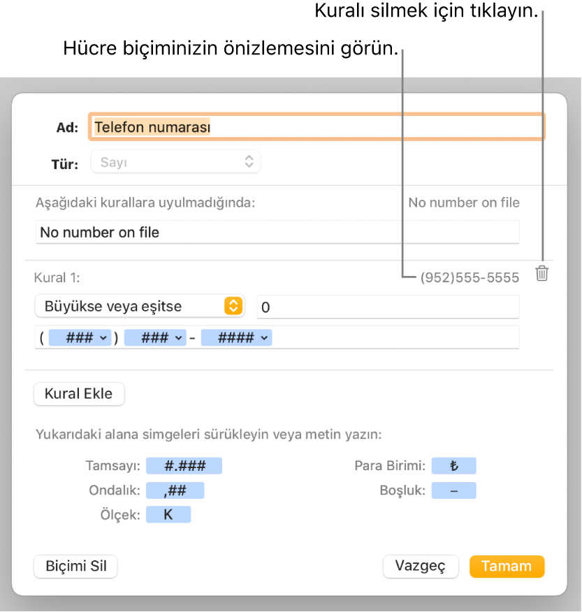Özel sayı biçimlemeyi seçme denetimlerinin bulunduğu özel hücre biçimi penceresi.