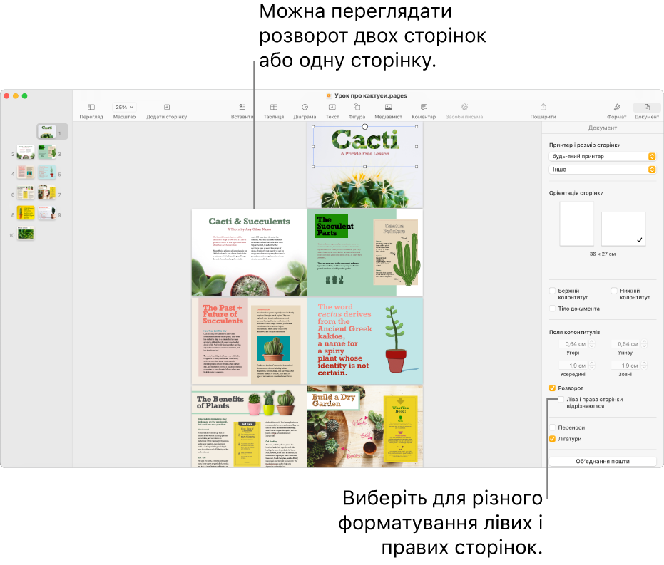 Вікно Pages з мініатюрами сторінок і сторінками документа у вигляді розвороту. На боковій панелі «Документ» справа вимкнено опцію «Ліва і права сторінки відрізняються».