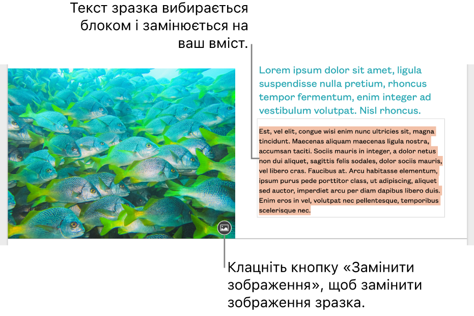 Зразки тексту та зображень.