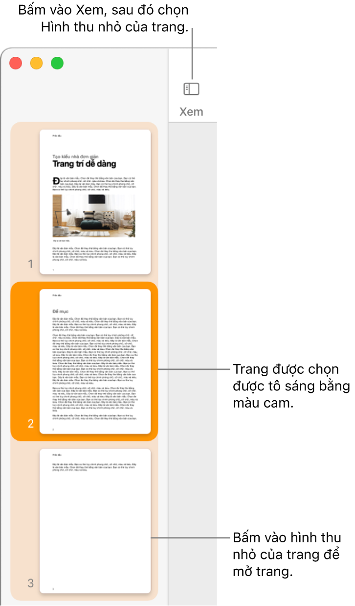 Thanh bên ở bên trái của cửa sổ Pages với chế độ xem Hình thu nhỏ của trang được mở và trang được chọn được tô sáng ở màu cam sẫm.