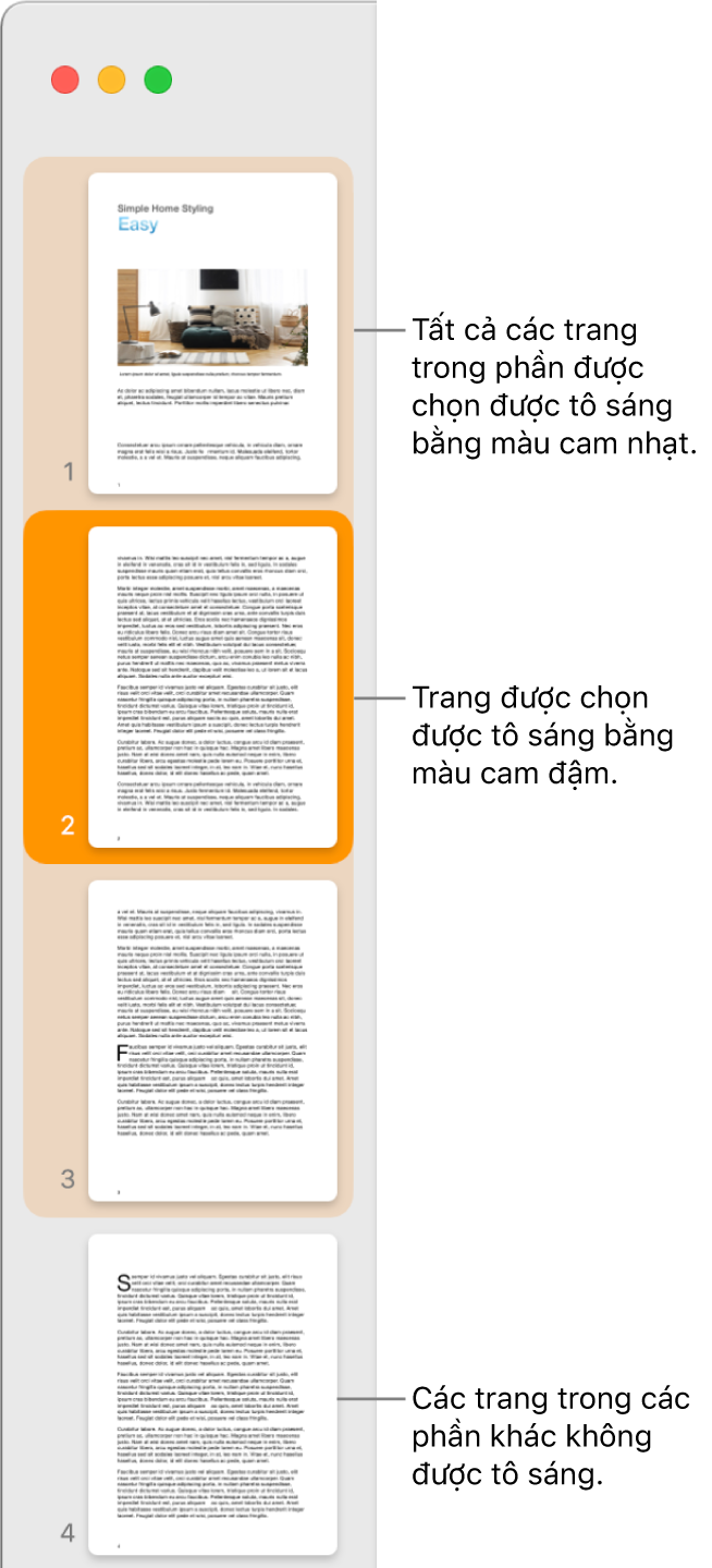 Thanh bên Chế độ xem hình thu nhỏ với trang được chọn được tô sáng bằng màu cam đậm và tất cả các trang trong phần được chọn được tô sáng bằng màu cam nhạt.