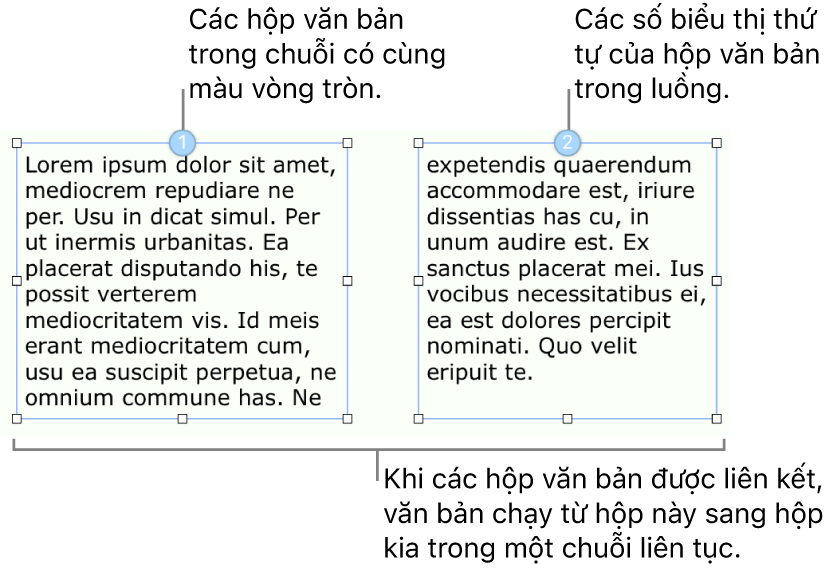 Hai hộp văn bản có vòng tròn màu lam ở trên đầu và các số 1 và 2 trong vòng tròn.