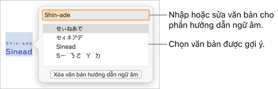 Phiên âm sẽ mở cho một từ, với các lời nhắc đến trường văn bản và văn bản được gợi ý.
