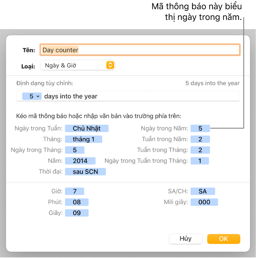 Cửa sổ định dạng ô tùy chỉnh với các điều khiển để chọn định dạng ngày và giờ tùy chỉnh.