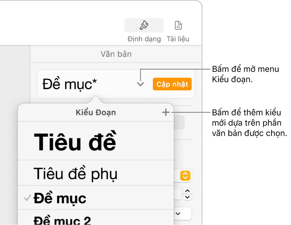 Menu Kiểu đoạn, hiển thị các điều khiển để thêm hoặc thay đổi kiểu.