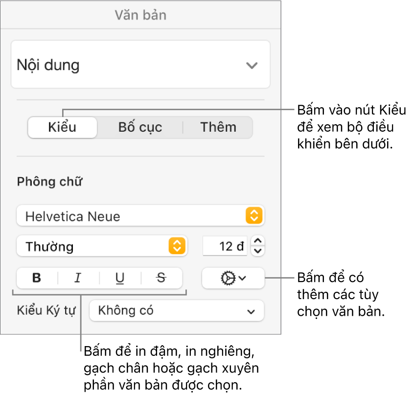 Các điều khiển Kiểu trong thanh bên Định dạng với các lời nhắc đến các nút Đậm, Nghiêng, Gạch chân và Gạch xuyên.