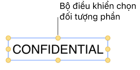 Đối tượng với các bộ điều khiển chọn.