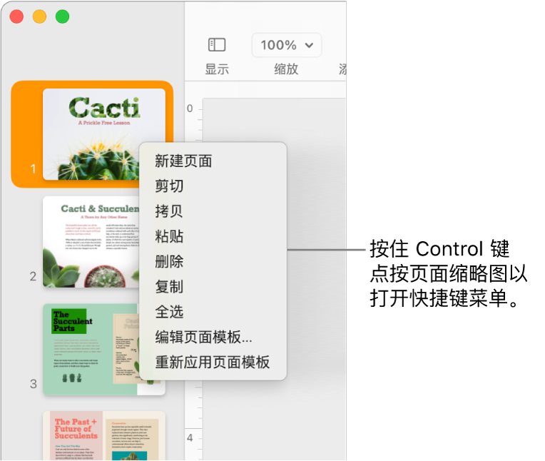 “页面缩略图”视图，其中一个缩略图被选中，快捷键菜单打开。