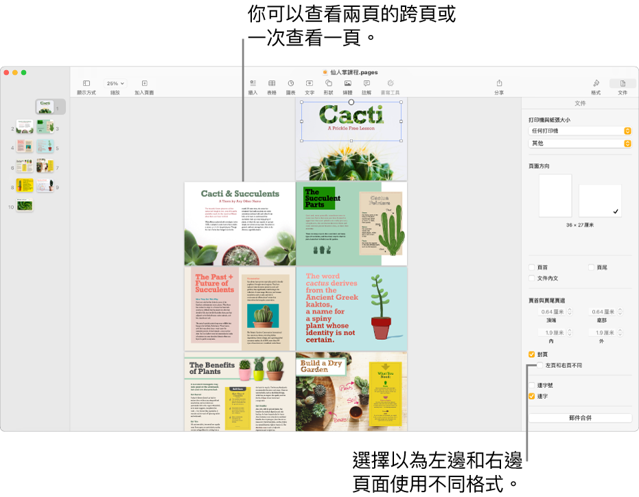 以兩頁全開頁面檢視的附有頁面縮圖之 Pages 視窗和文件頁面。在右側的「文件」側邊欄中，已取消選擇「左頁和右頁不同」剔選框。