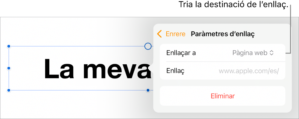 Controls “Paràmetres d’enllaç” amb l’opció “Pàgina web” seleccionada i el botó “Elimina” situat a la part inferior.