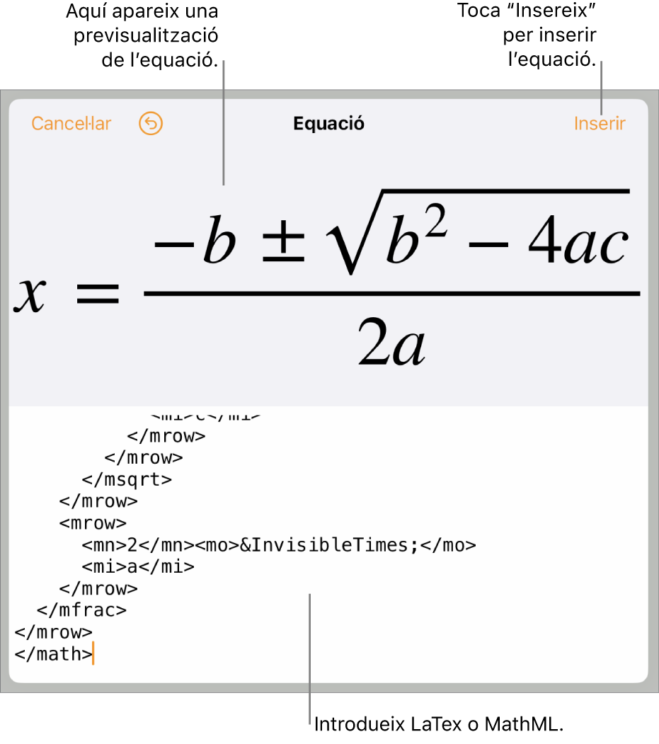 El quadre de diàleg Equació amb una equació escrita amb les ordres MathML i una previsualització de la fórmula al damunt.