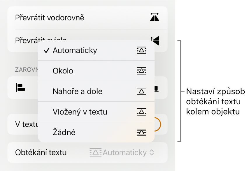 Ovládací prvky formátování s vybraným panelem Rozložení. Pod ním se nacházejí ovládací prvky Obtékání textu spolu s volbami Přesunout na pozadí/do popředí, V textu a Obtékání textu