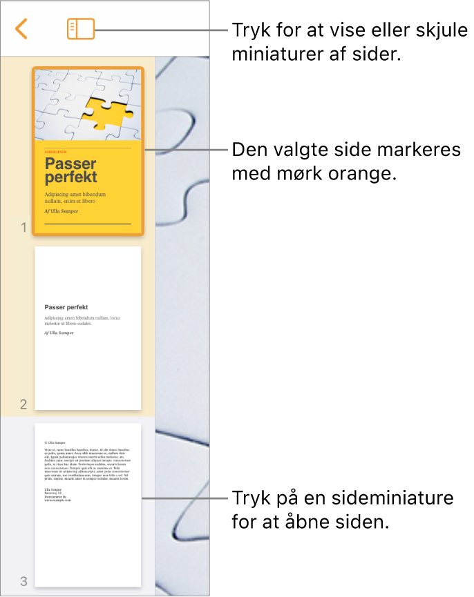 Oversigten Miniaturer af sider i venstre side af skærmen med en side markeret. Over miniaturerne ses knappen Oversigtsvalg.