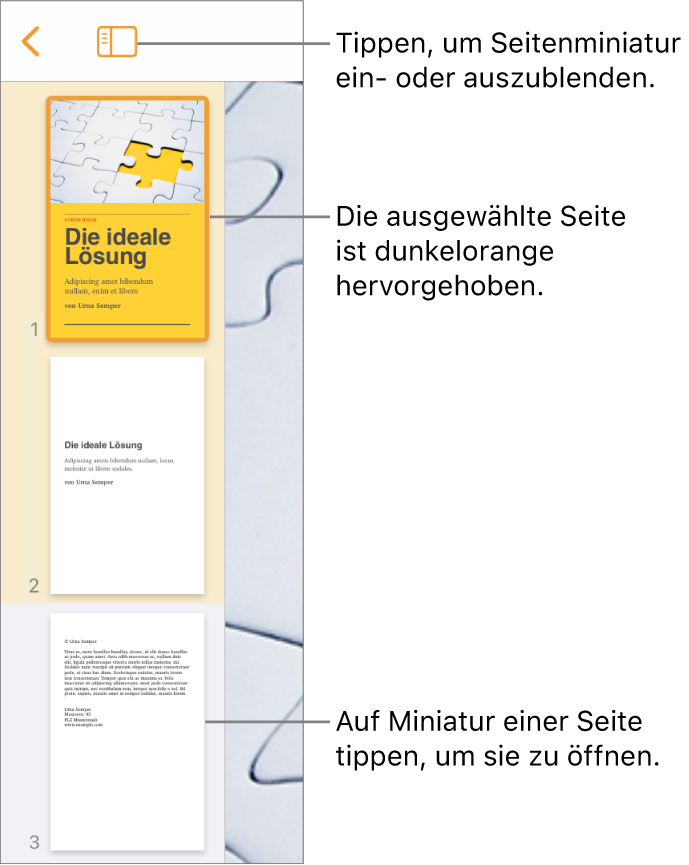 Die Miniaturdarstellung der Seiten links auf dem Bildschirm mit einer einzelnen ausgewählten Seite. Die Taste „Darstellungsoptionen“ über den Miniaturen.