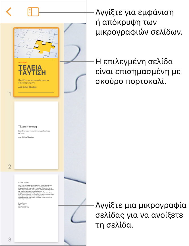 Προβολή μικρογραφιών σελίδων στην αριστερή πλευρά της οθόνης με μία επιλεγμένη σελίδα. Το κουμπί «Επιλογές προβολής» βρίσκεται πάνω από τις μικρογραφίες.