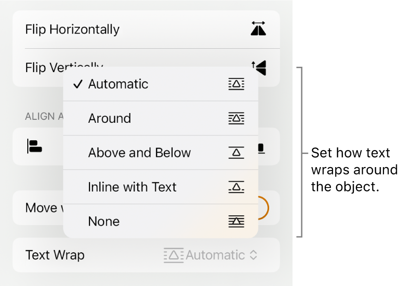 The Format controls with the Arrange tab selected. Below it are Text Wrap controls with Move to Back/Front, Move with Text and Text Wrap.