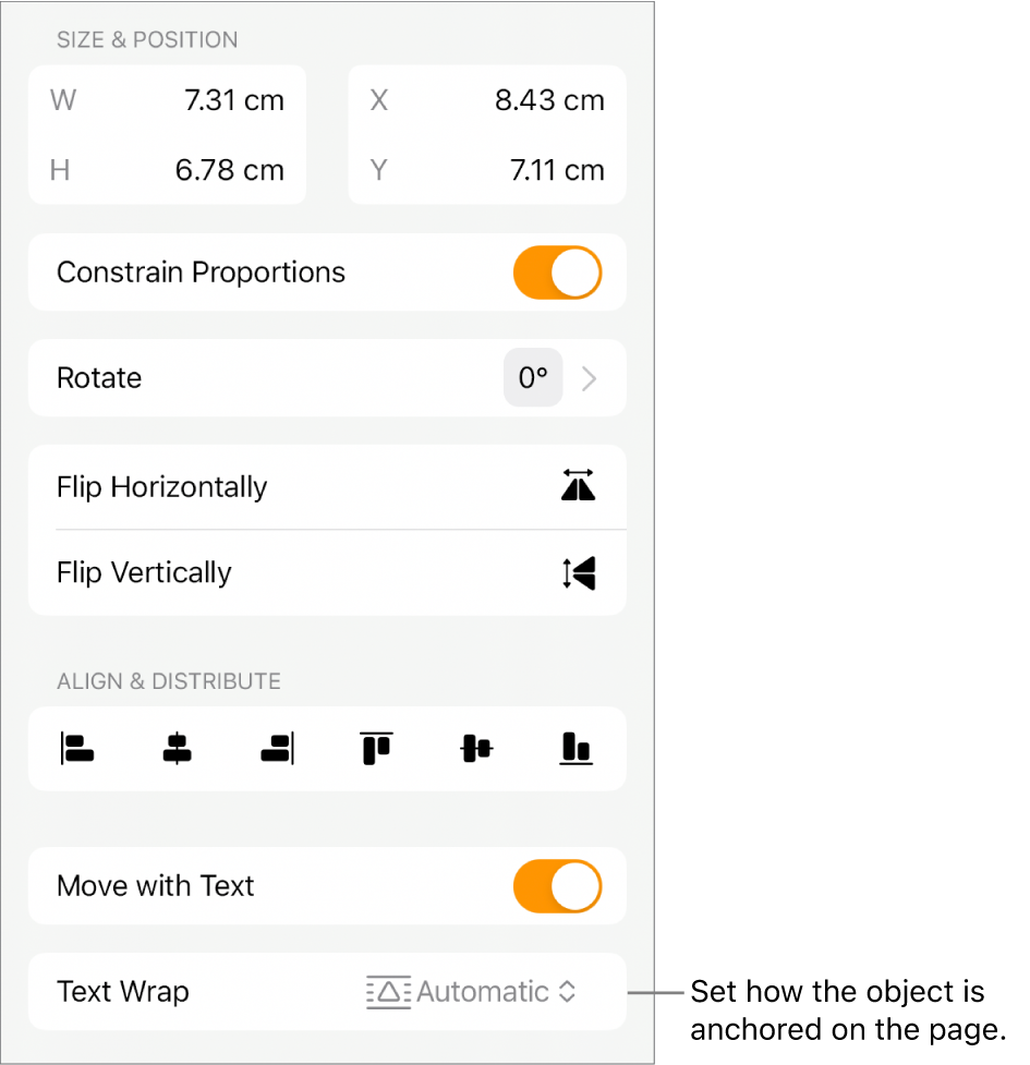 The Format controls with the Arrange tab selected and controls for Move to Back/Front, Move with Text and Text Wrap.