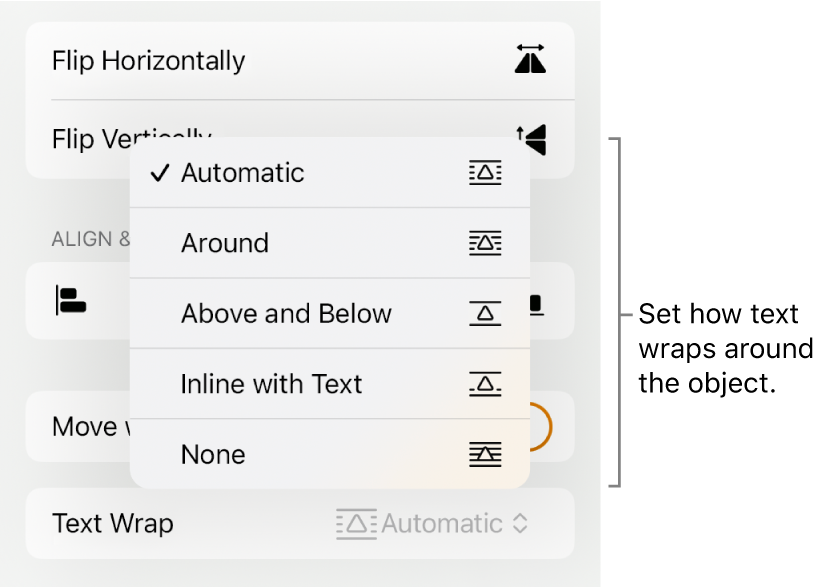 The Format controls with the Arrange tab selected. Below it are Text Wrap controls with Move to Back/Front, Move with Text and Text Wrap.