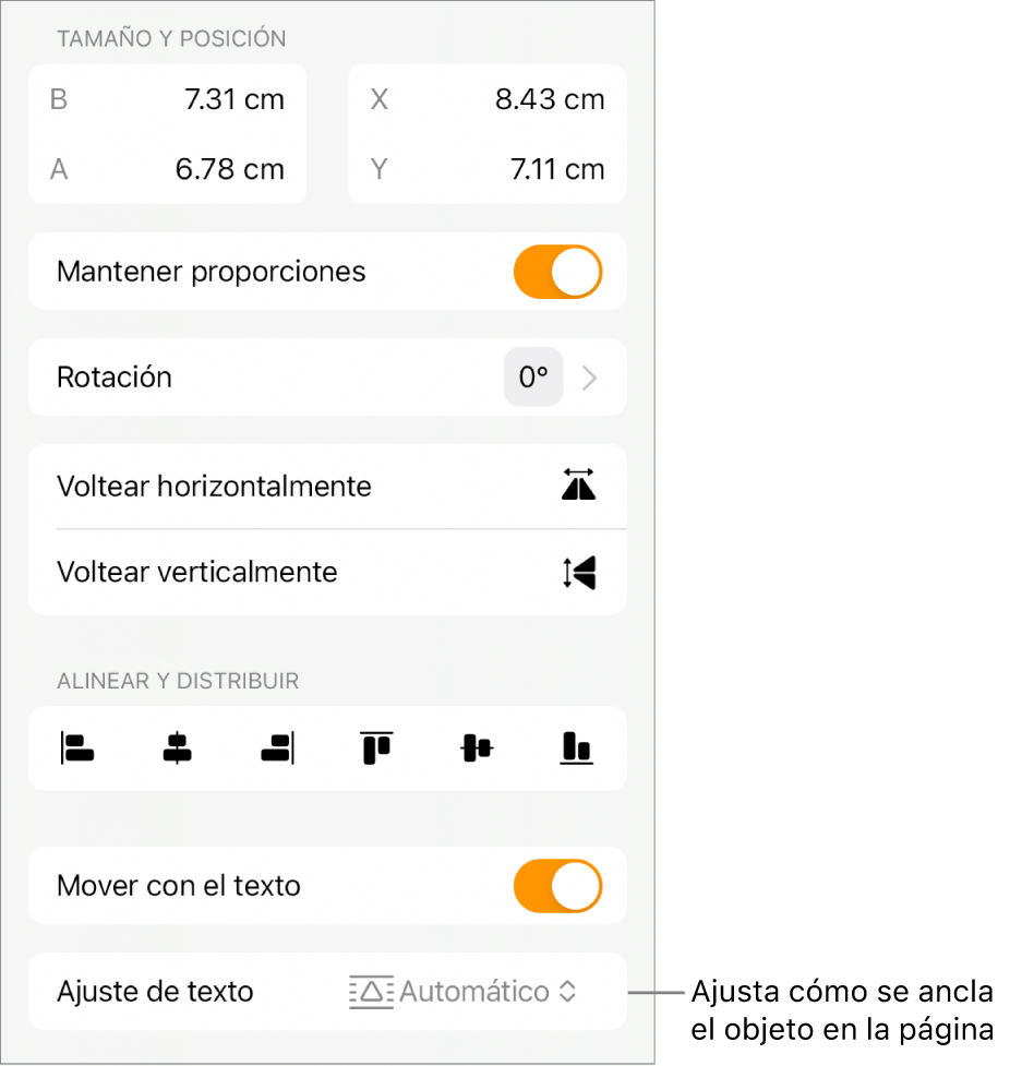 Controles de formato con la pestaña Orden seleccionada y los controles Mover al fondo/al frente, Mover con texto, y Ajuste de texto.