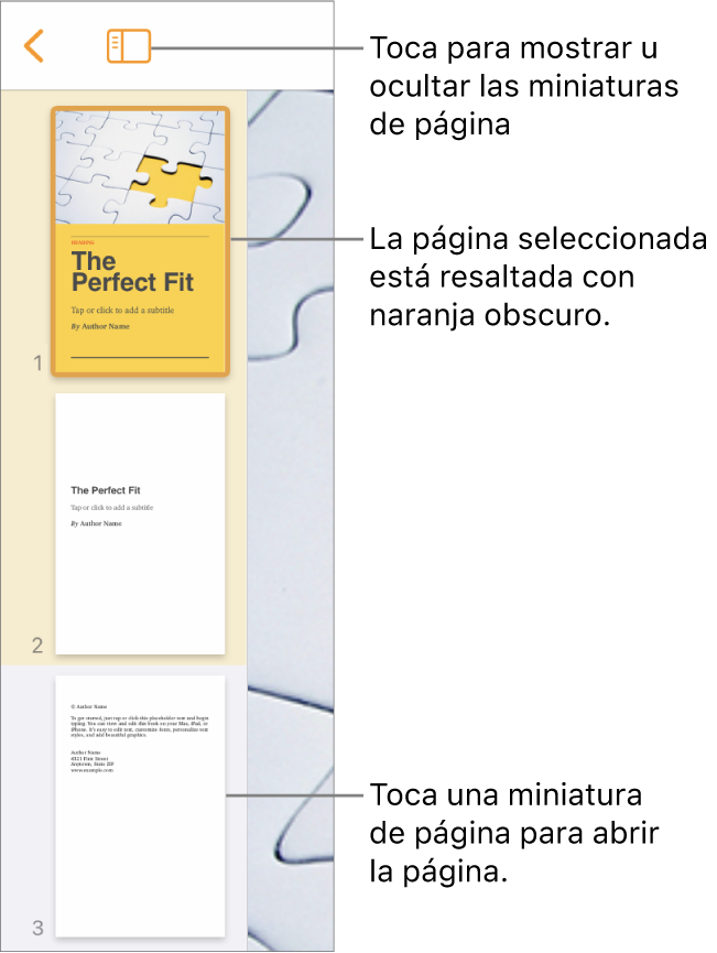La visualización de miniaturas de página en el lado izquierdo de la pantalla con una sección de dos páginas, una línea separadora y luego una página de la siguiente sección. El botón Visualización está arriba de las miniaturas.